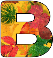 Herbstbuchstabe-5-B.jpg